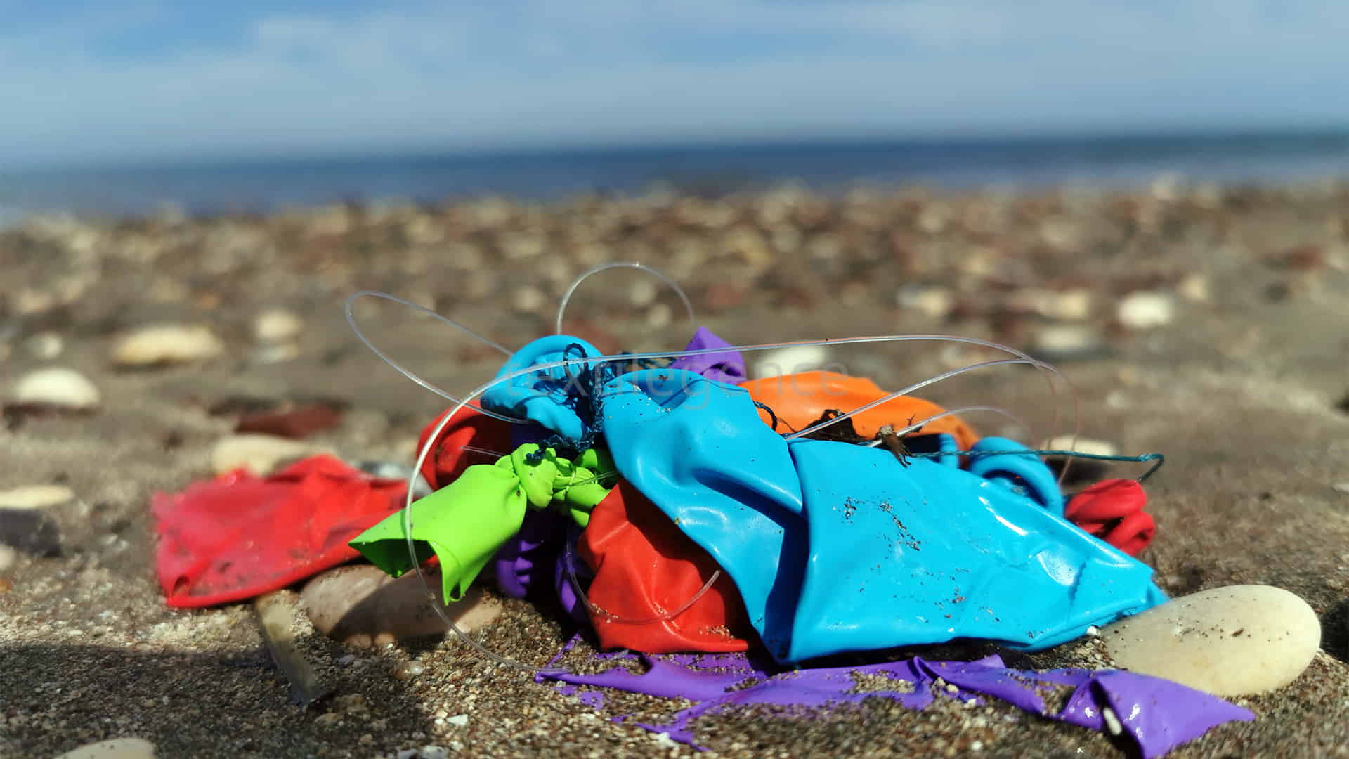 “Plastik doğada yok olmaz. Mühendislik bu işi çözemez”   Görsel Kaynak: Sedat Gündoğdu